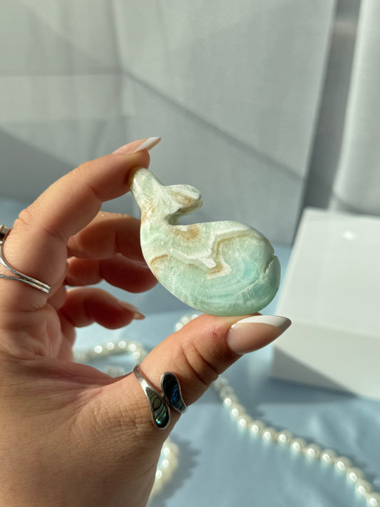 Caribbean Calcite Whales
