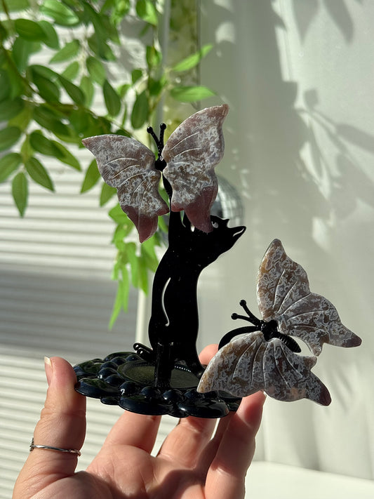 Sea Jasper Butterflies and Cat