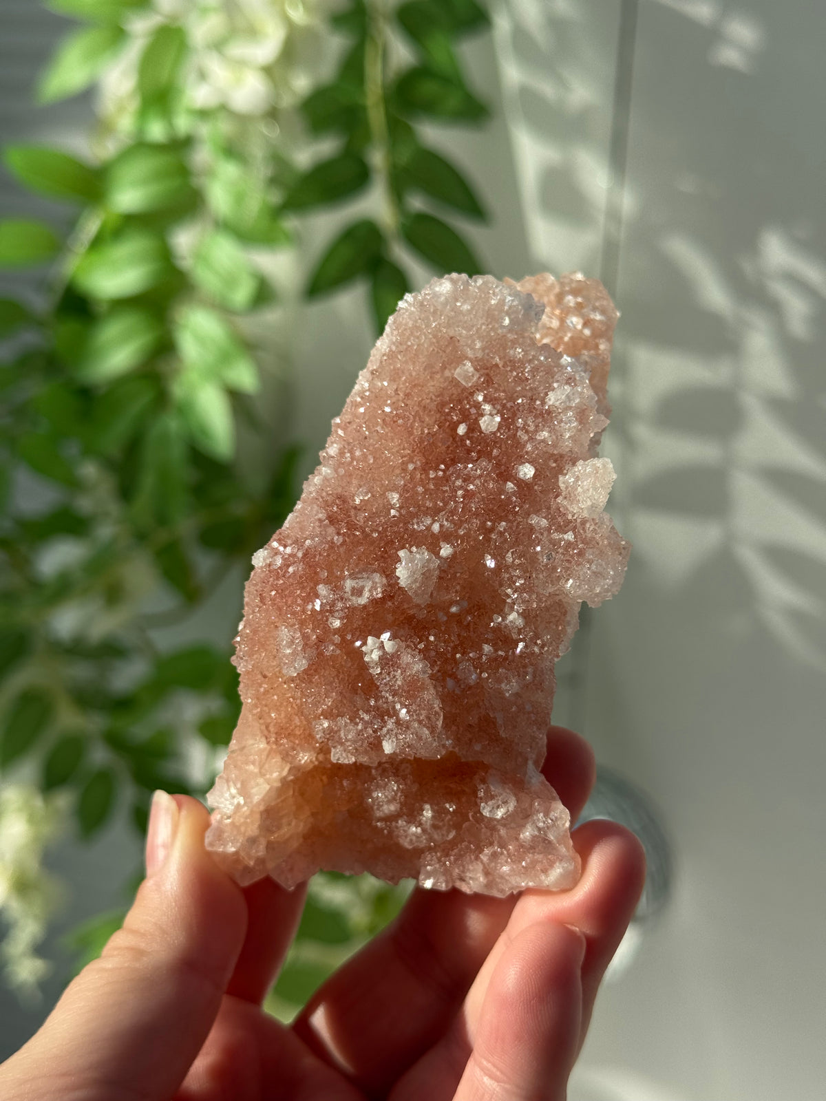 Peachy Pink Apophyllite Specimens from India