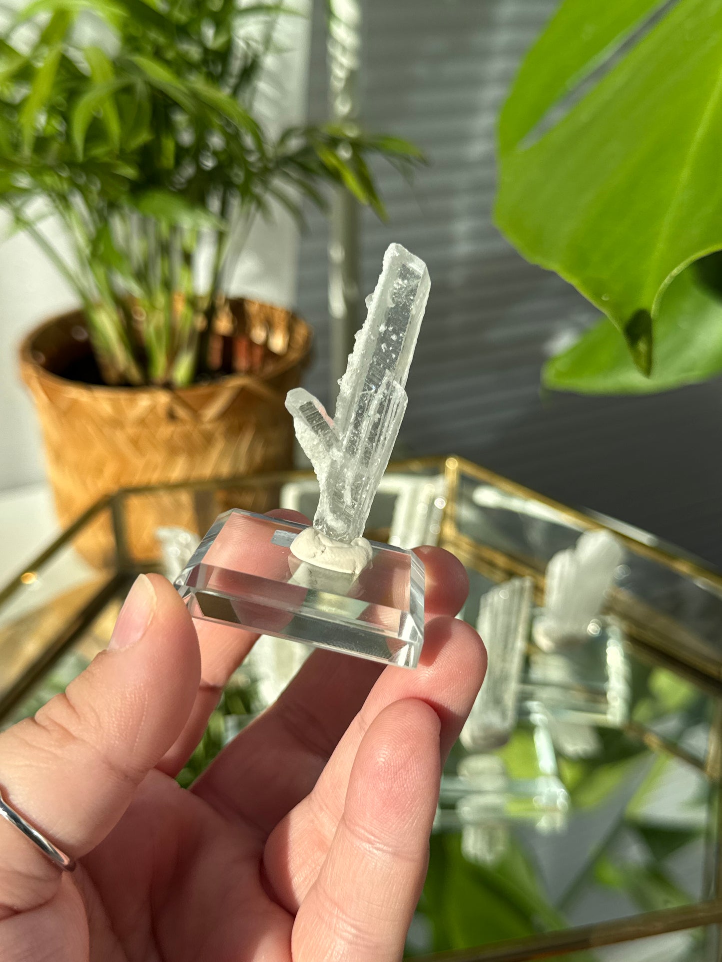 RARE Nifontovite from Mexico