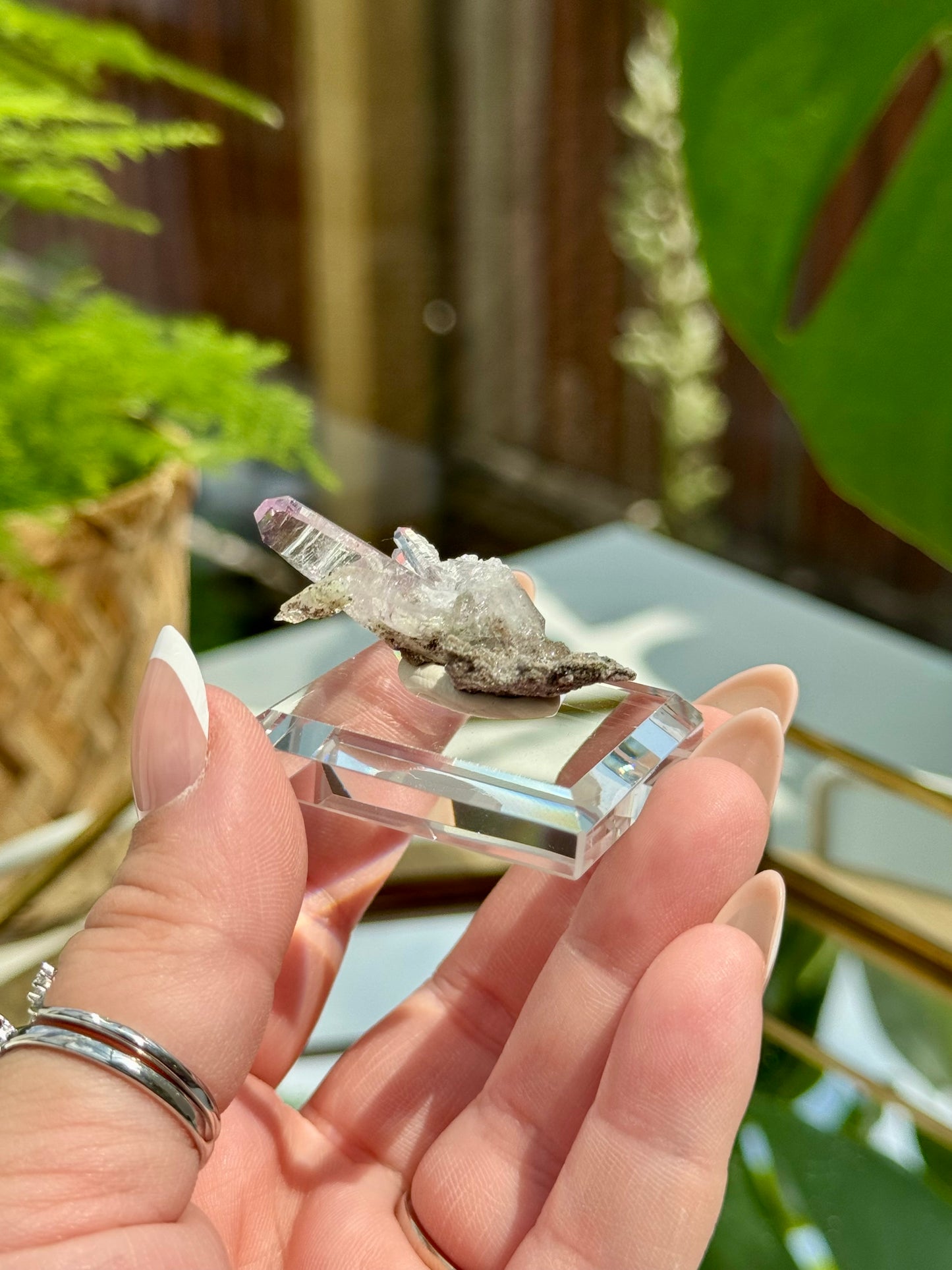 Veracruz Amethyst
