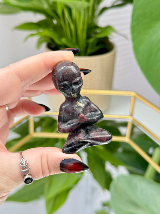 Garnet Arfvedsonite Yoga Aliens