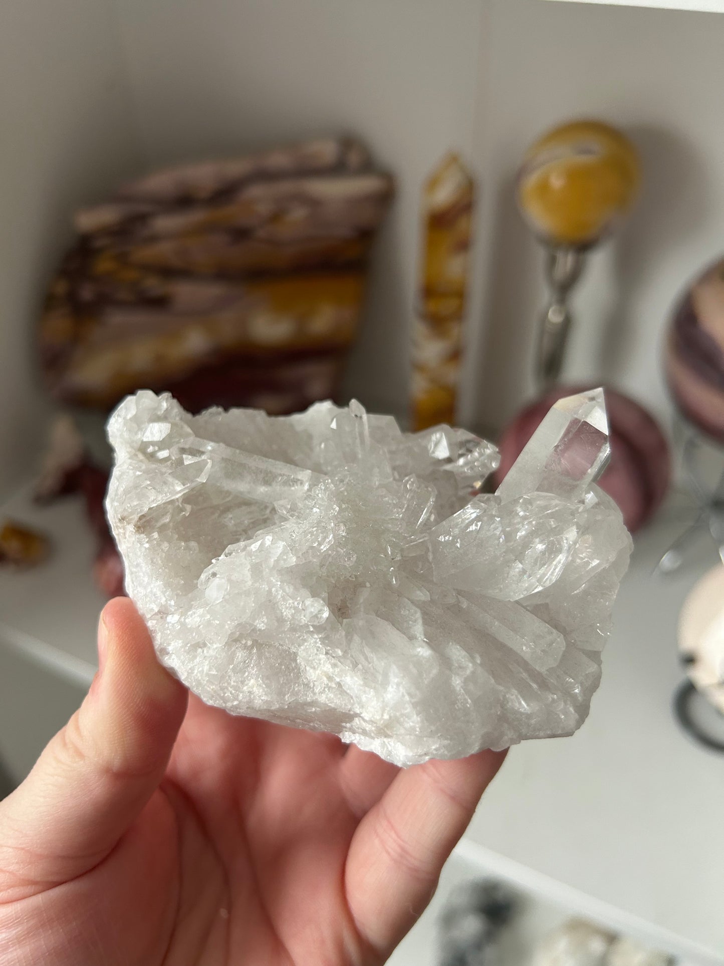 My collection clearance