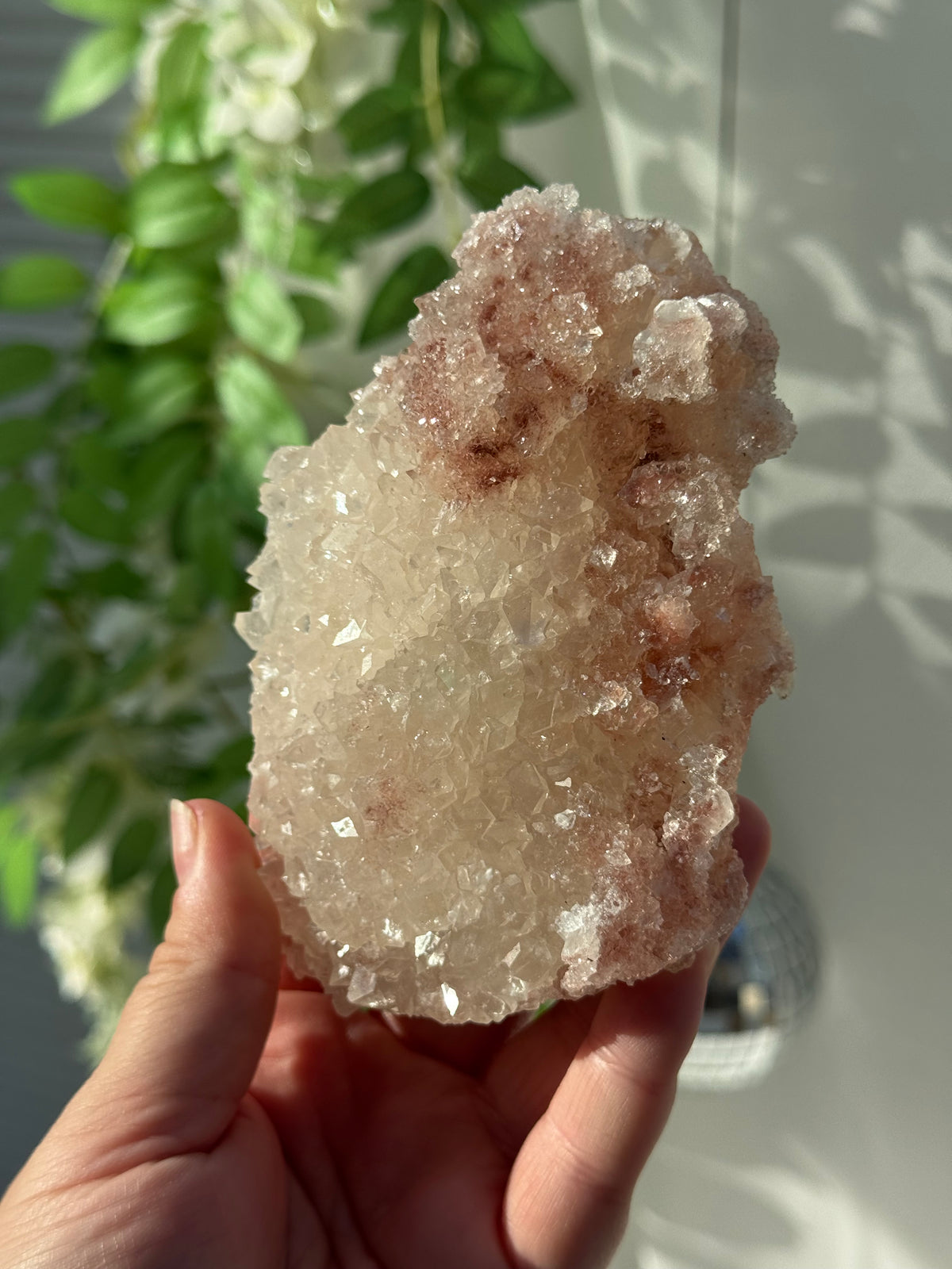 Peachy Pink Apophyllite Specimens from India
