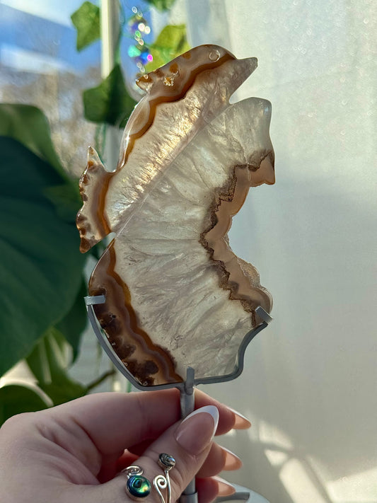 Agate Dolphin