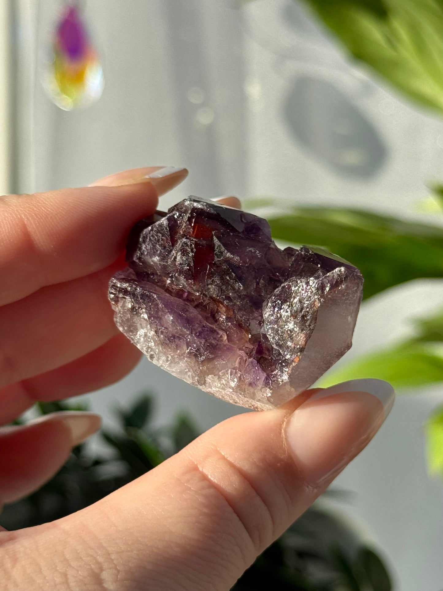 Alien Amethyst (Amethyst with Hematite) from India