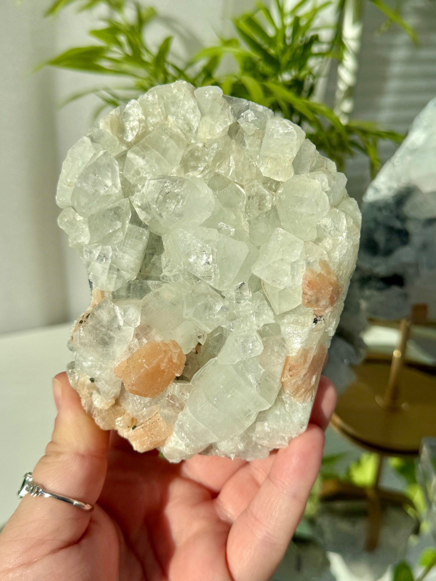 Apophyllite from India