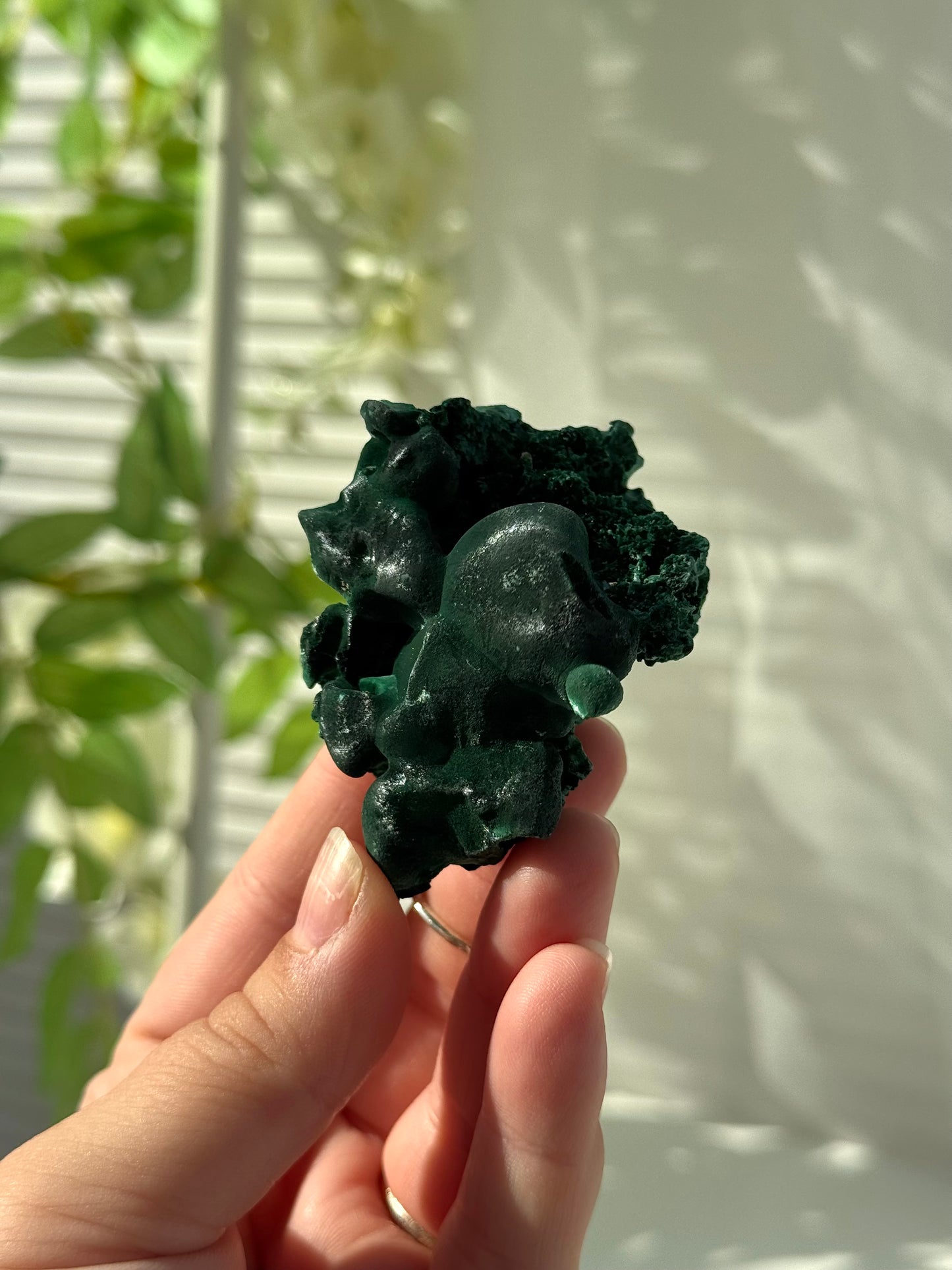 Velvet Malachite