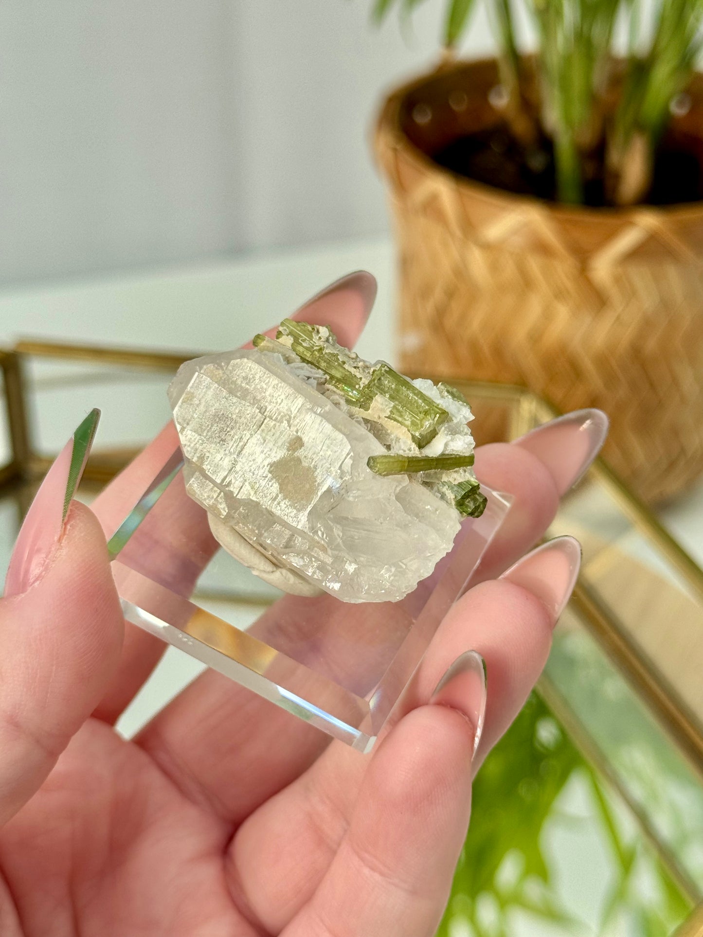 Green Tourmaline in Quartz