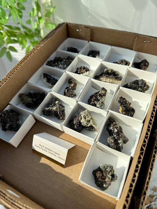 Black Garnet Specimens