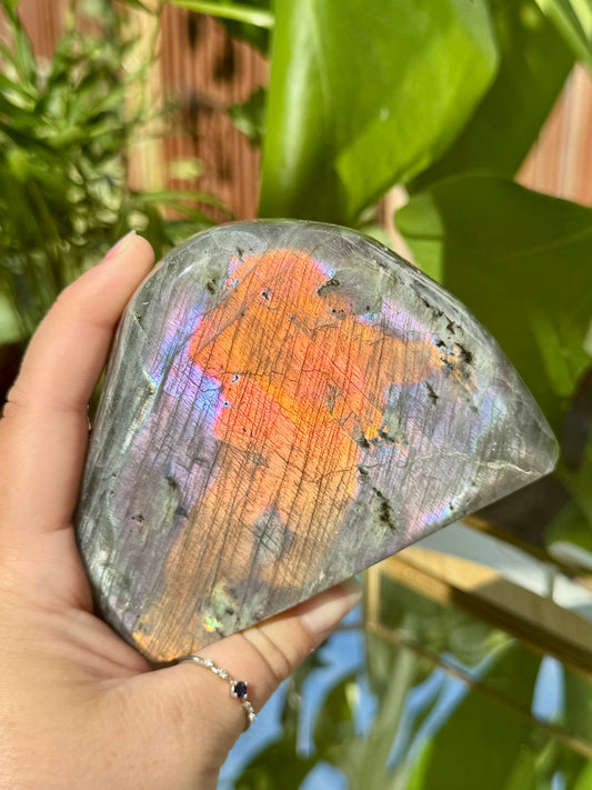 Labradorite Freeform