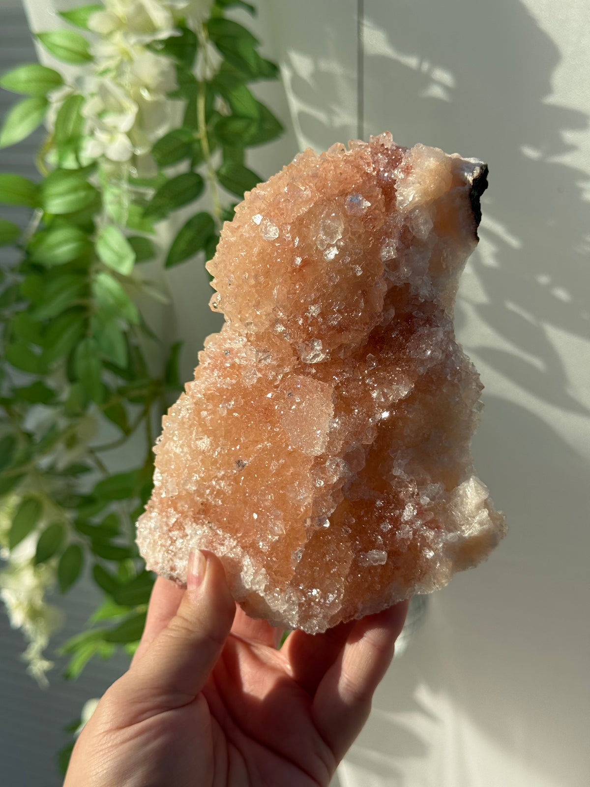 Peachy Pink Apophyllite Specimens from India