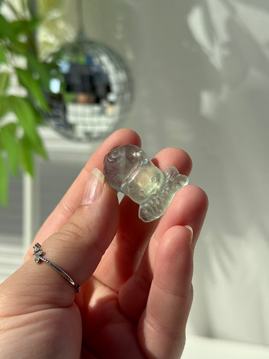 Fluorite Cats Eating Fish