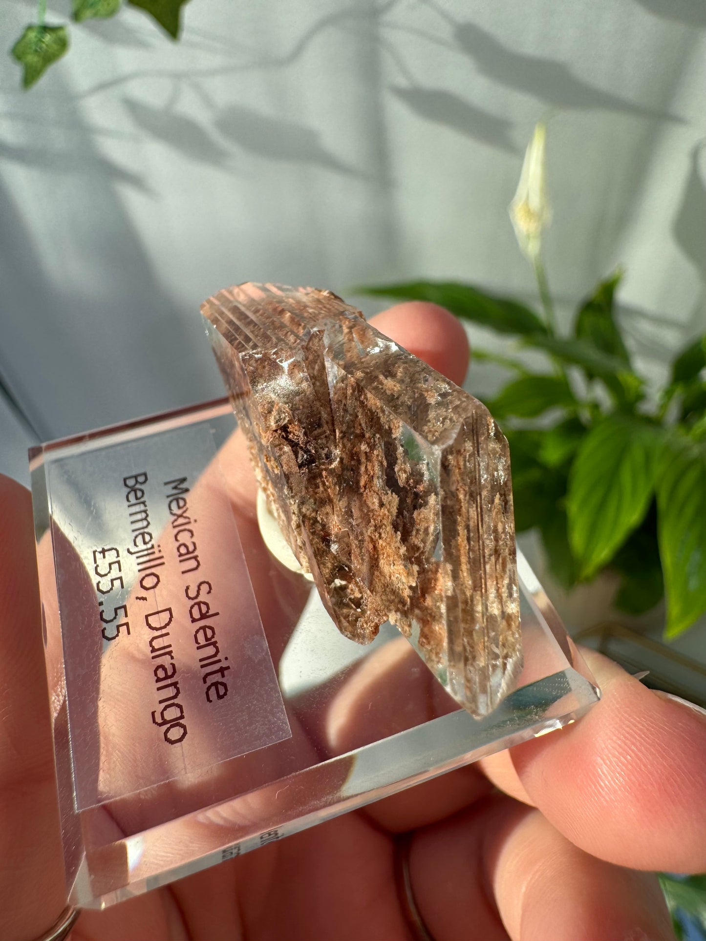 Bermejillo Selenite from Durango, Mexico