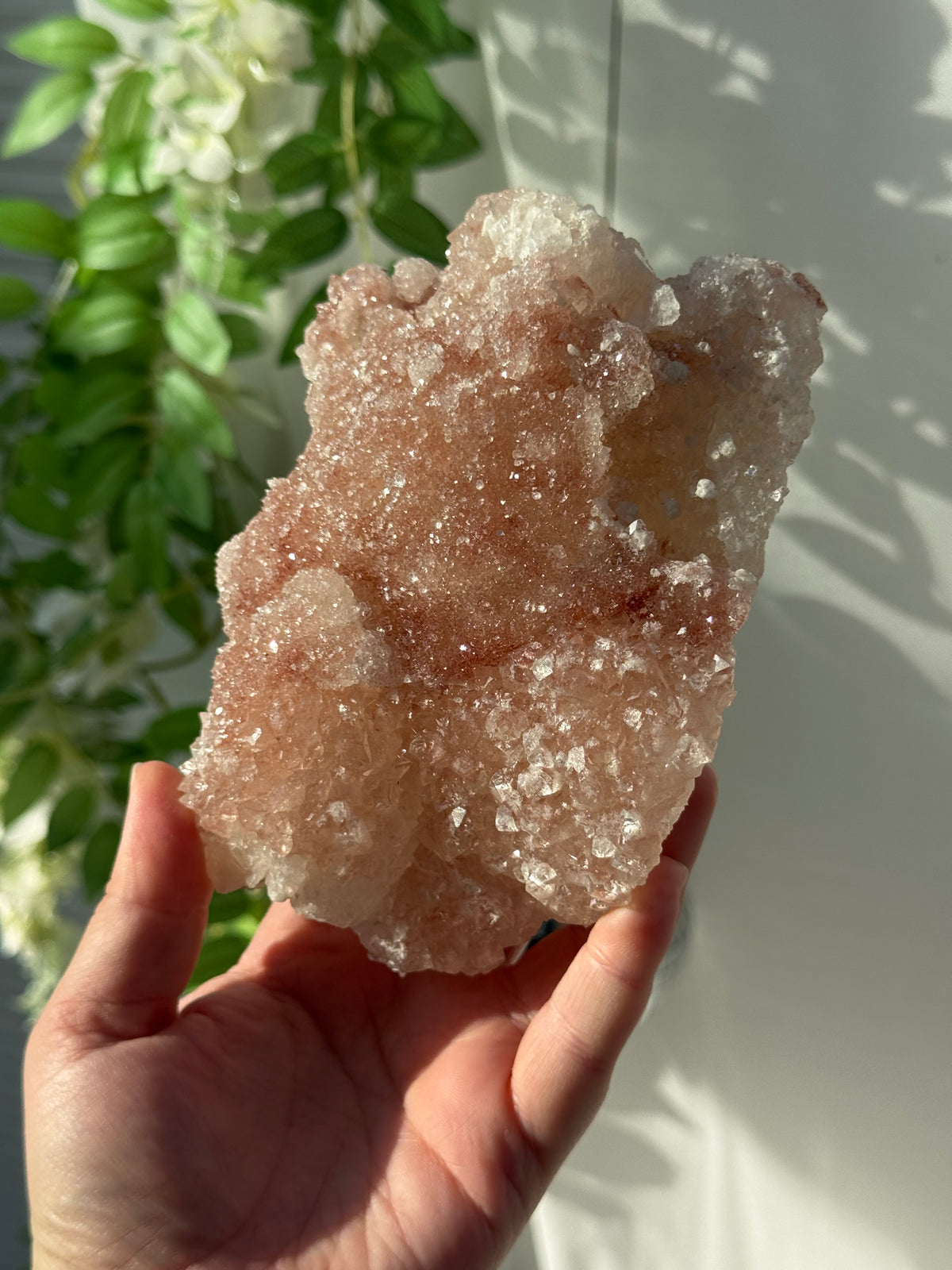 Peachy Pink Apophyllite Specimens from India