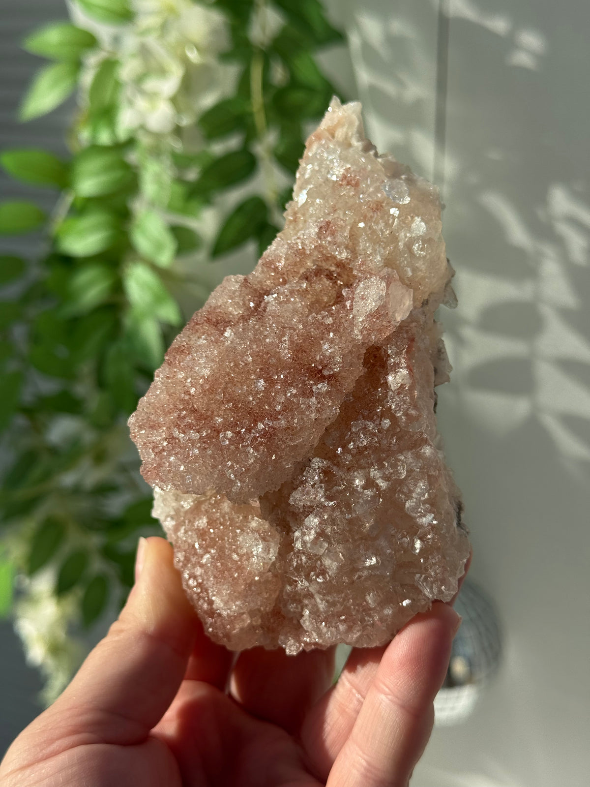Peachy Pink Apophyllite Specimens from India