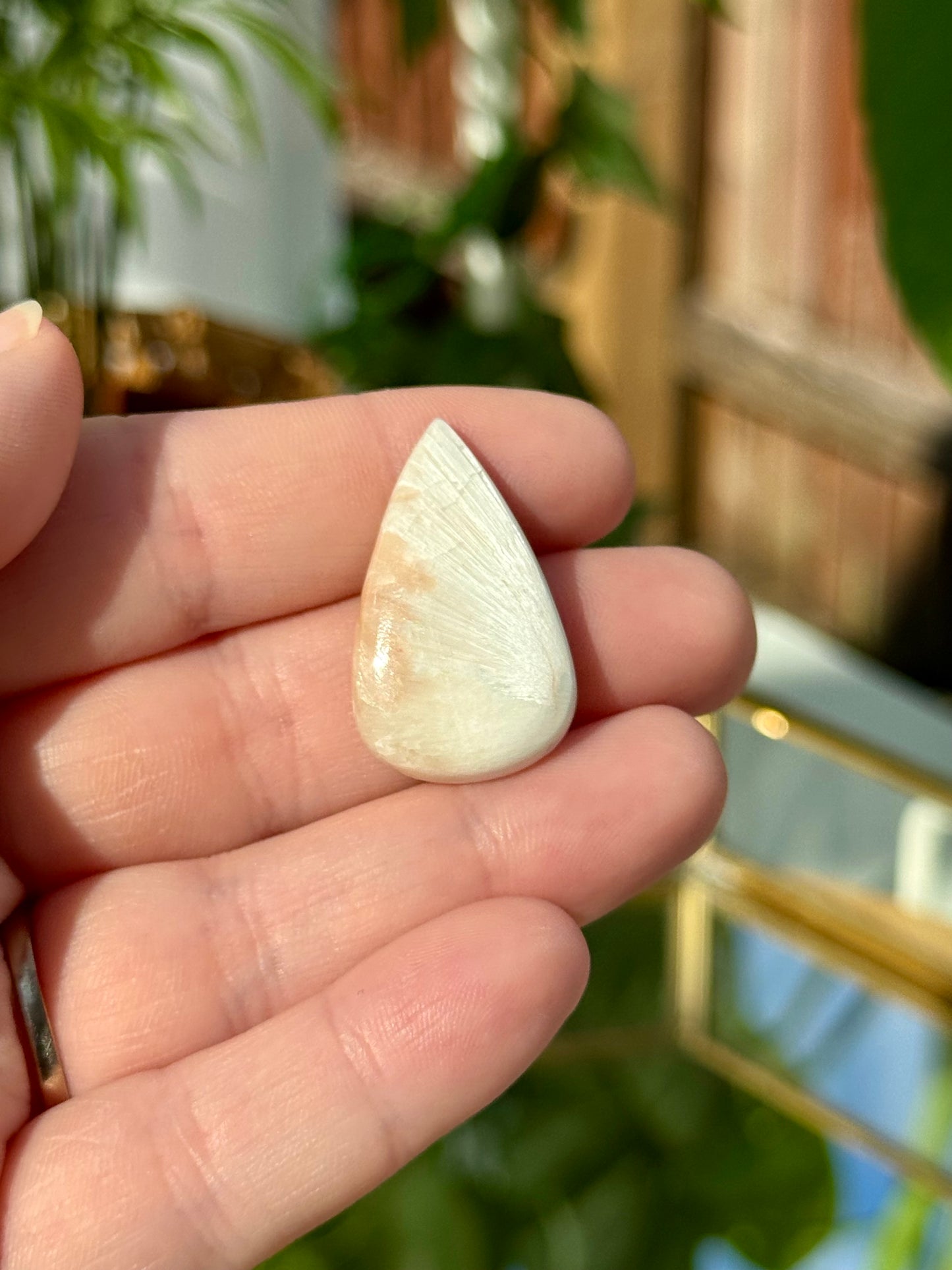 Cabochons