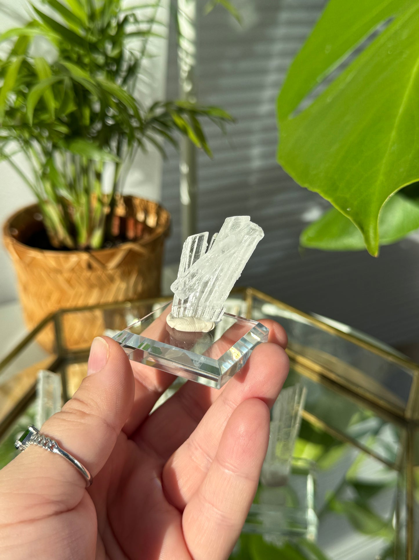 RARE Nifontovite from Mexico