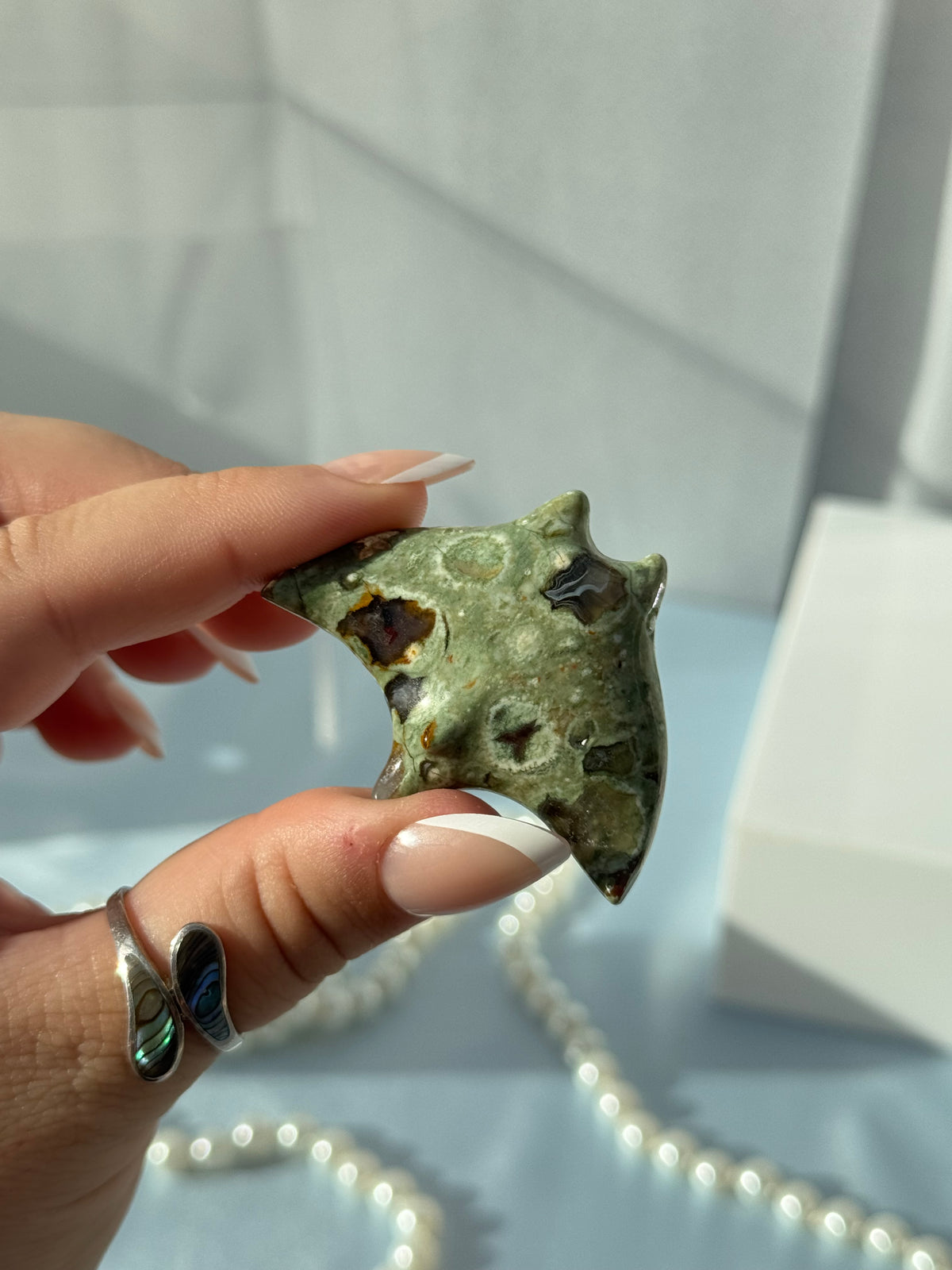 Mini Manta Rays