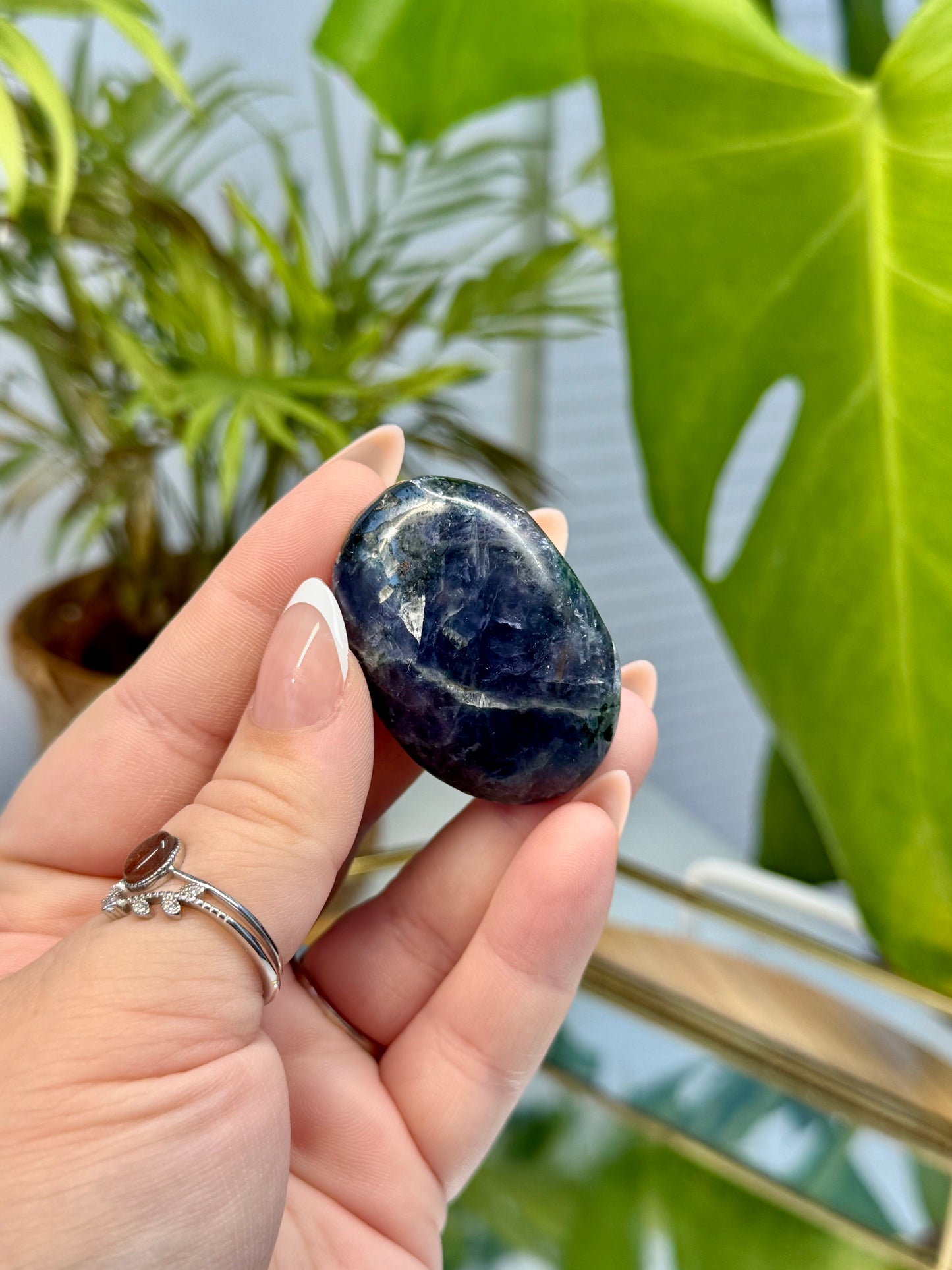 Iolite Palm
