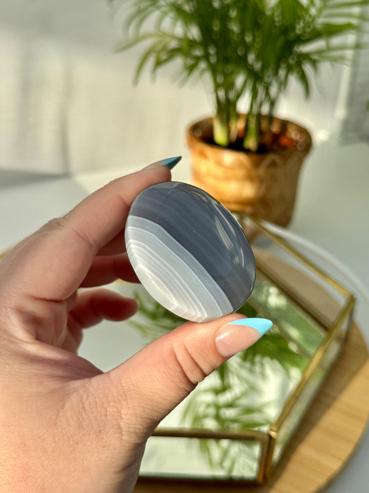 Banded Agate Palms