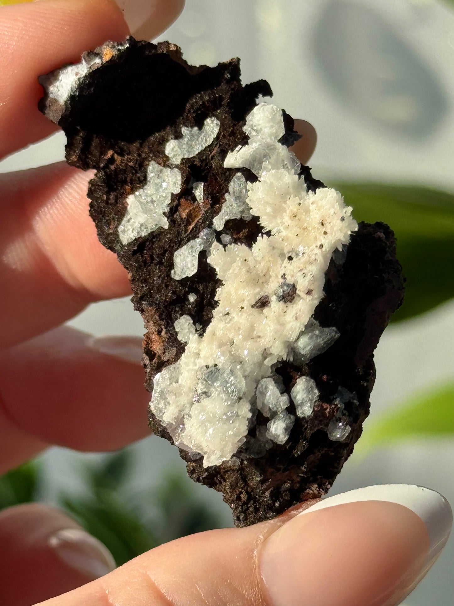 Aragonite & Chalcedony on Geothite from Mexico