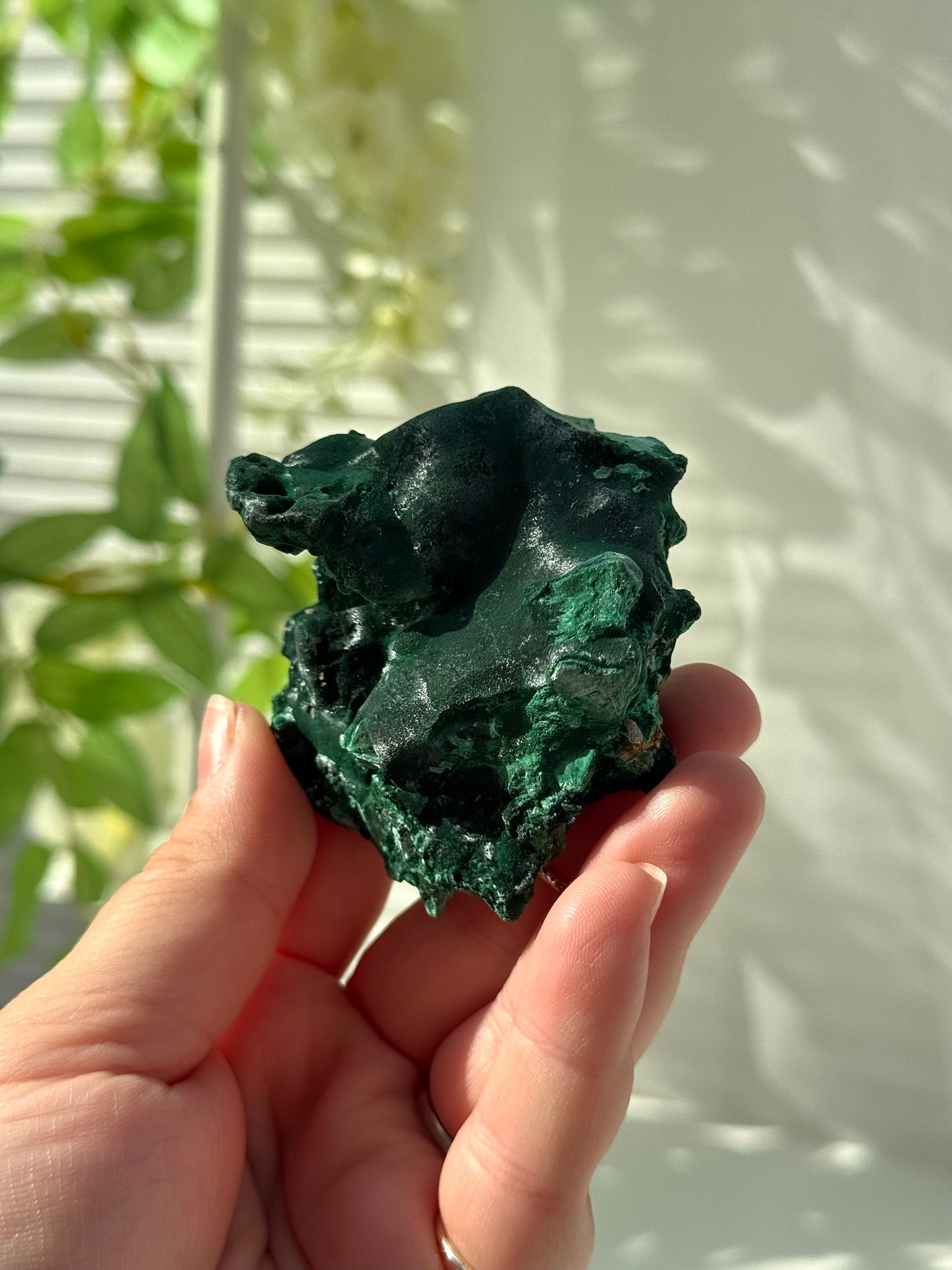 Velvet Malachite