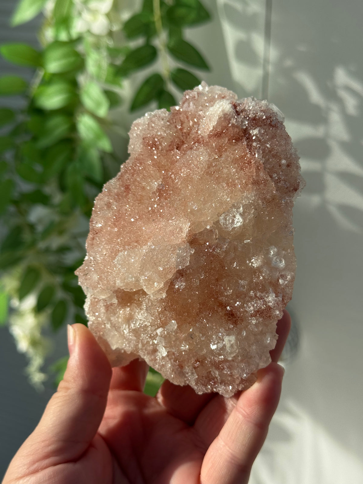 Peachy Pink Apophyllite Specimens from India