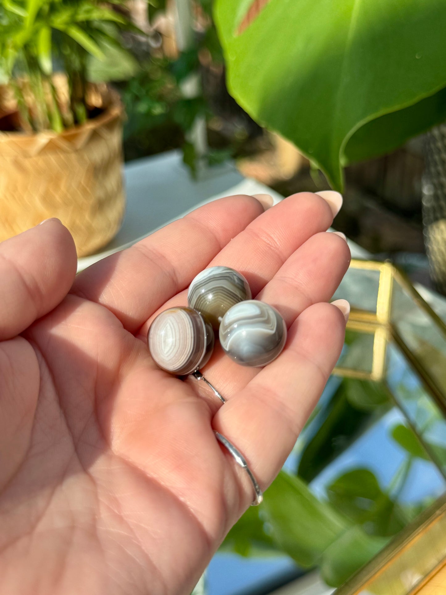 Mini Spheres