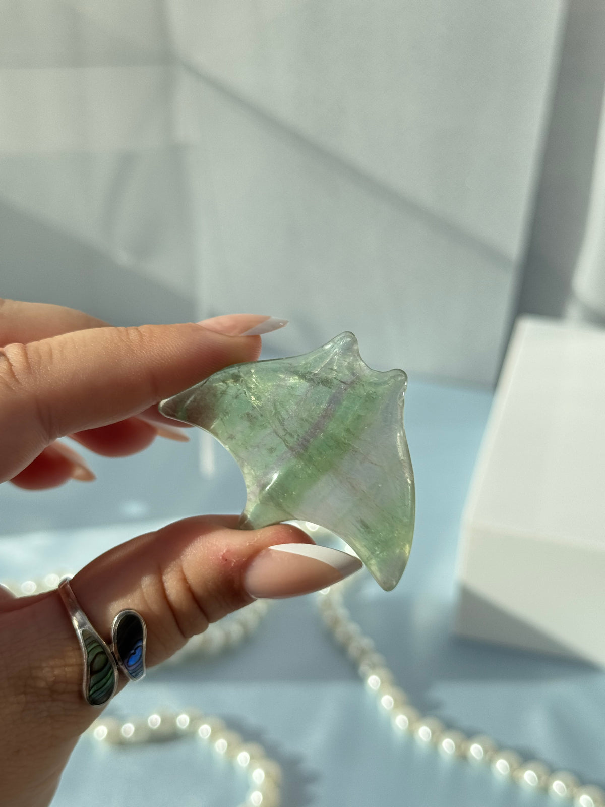 Mini Manta Rays