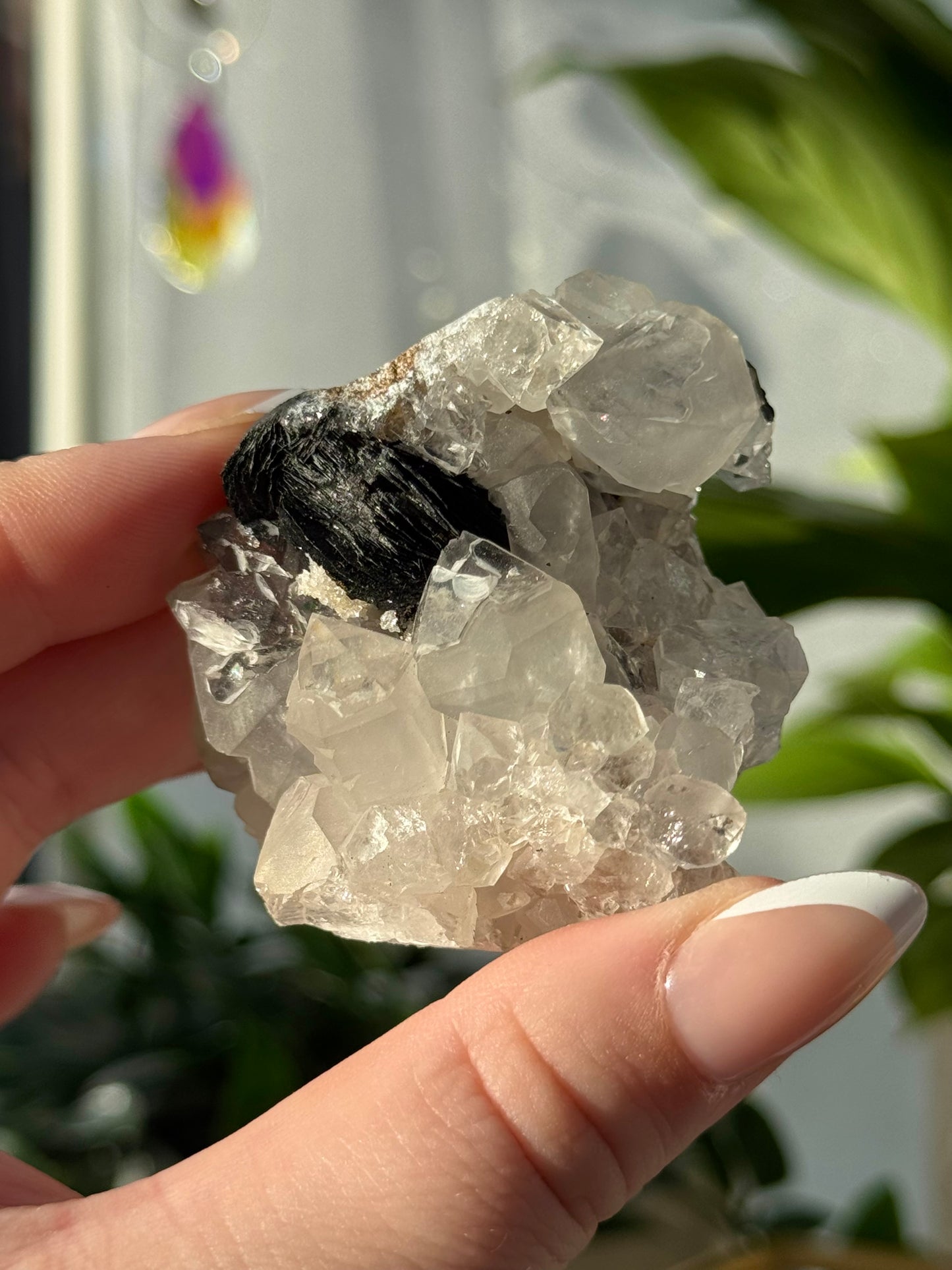 Specularite Hematite with Quartz