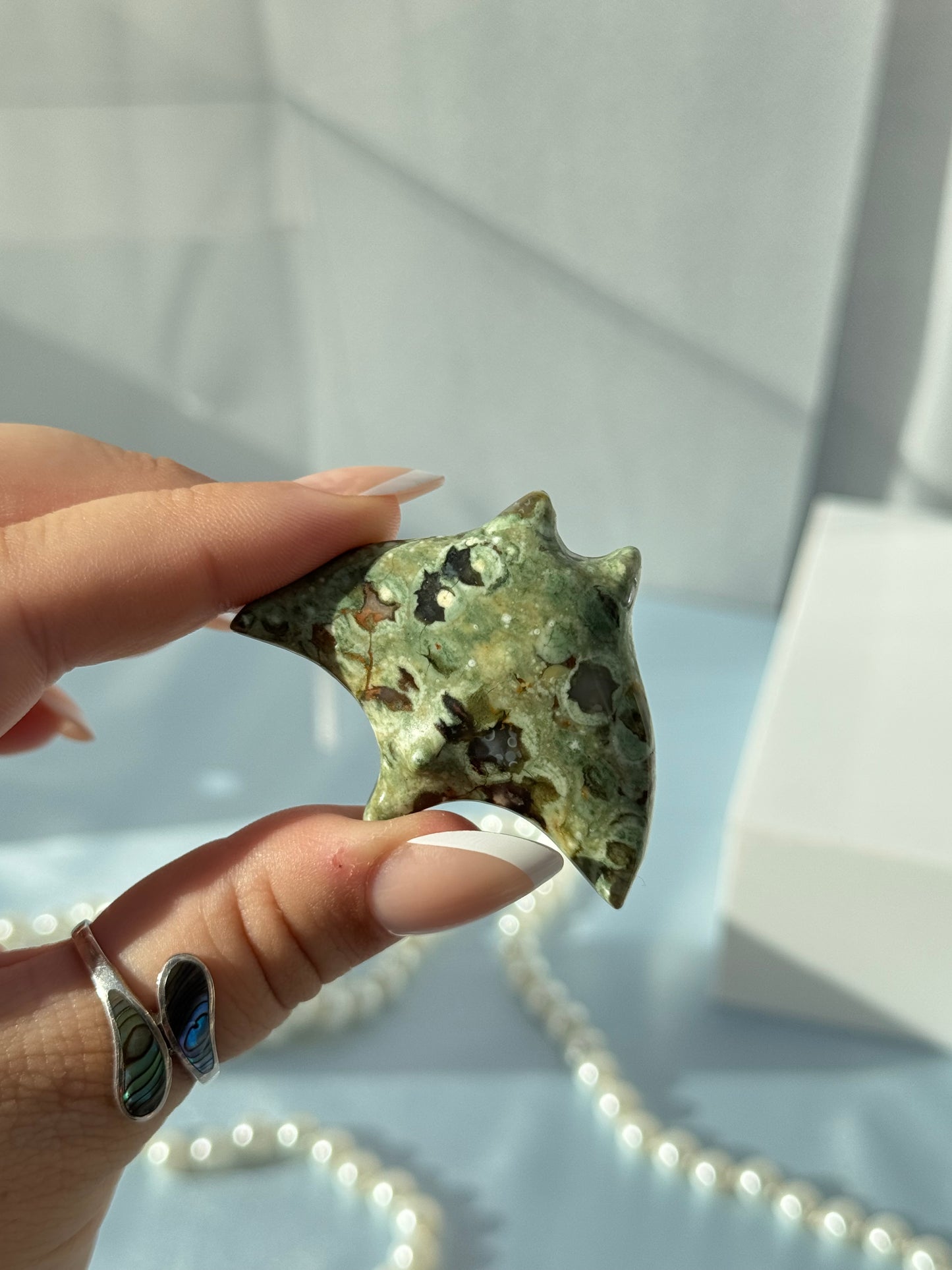 Mini Manta Rays