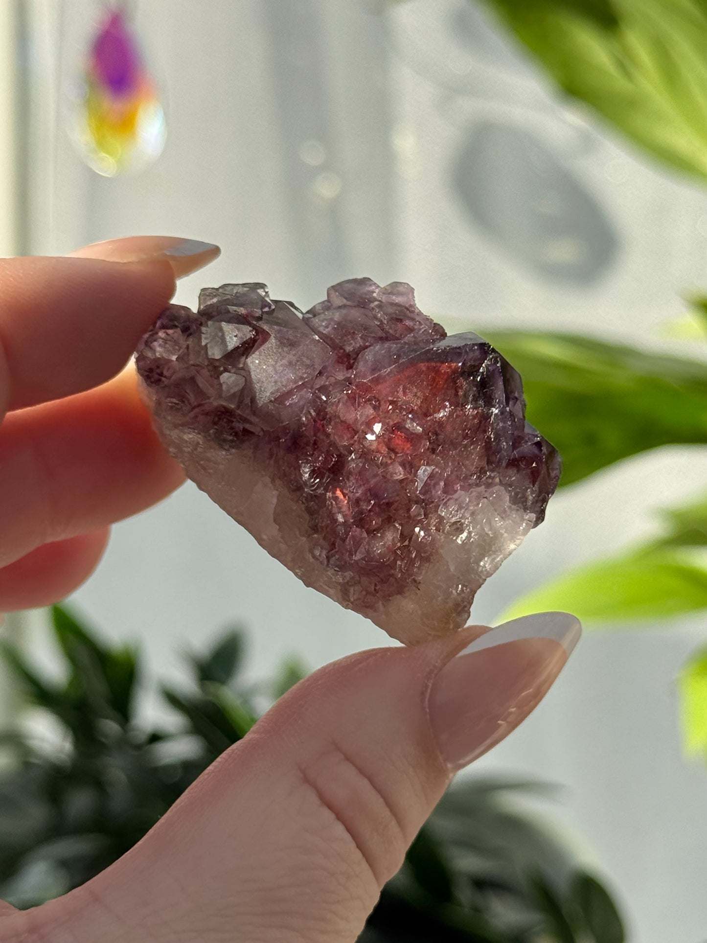 Alien Amethyst (Amethyst with Hematite) from India