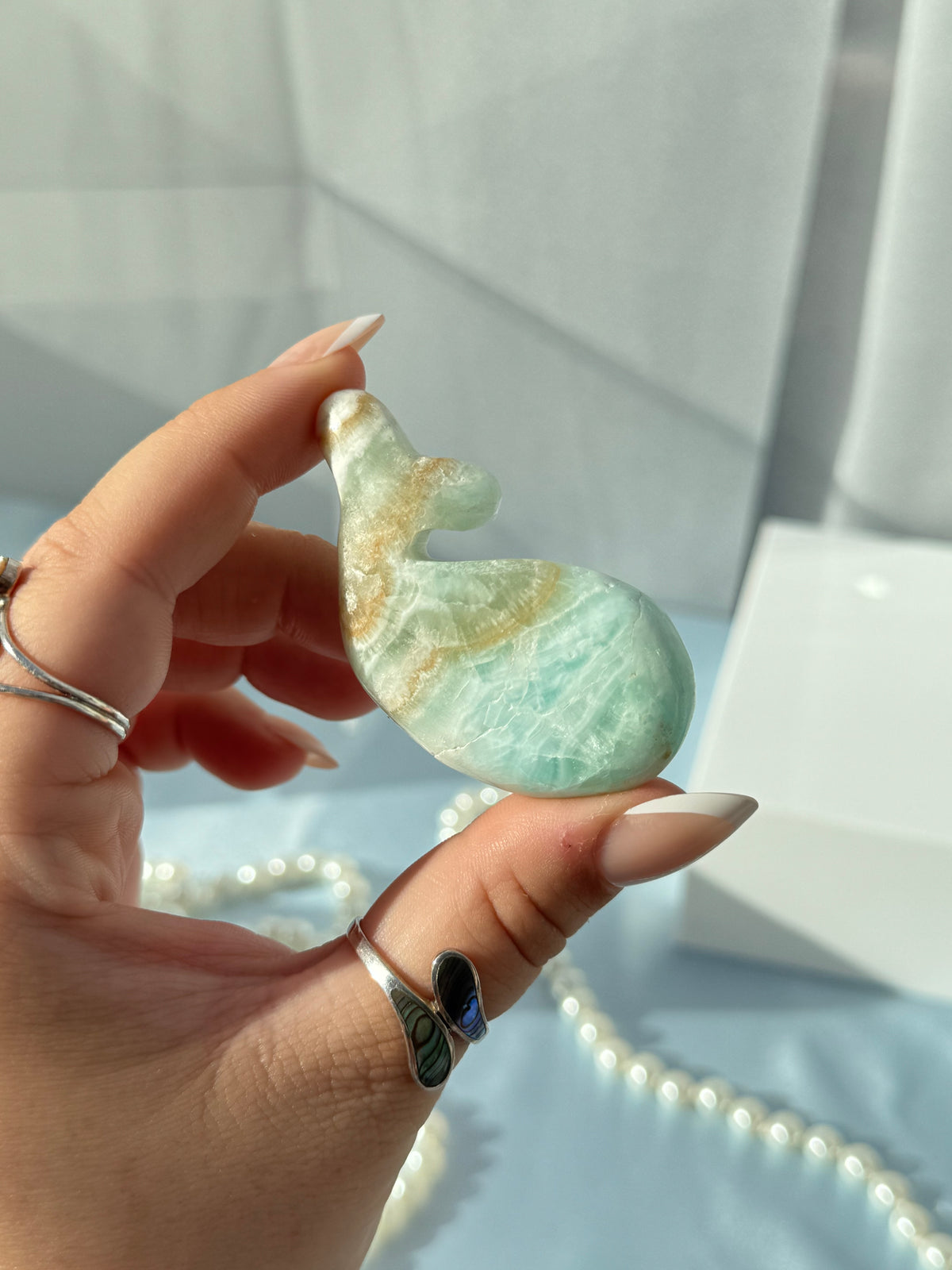Caribbean Calcite Whales
