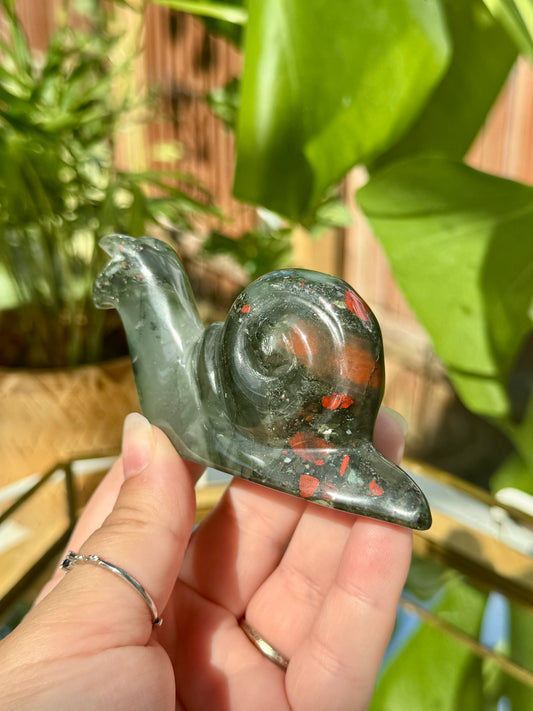 “Zoidberg” African Bloodstone Snail