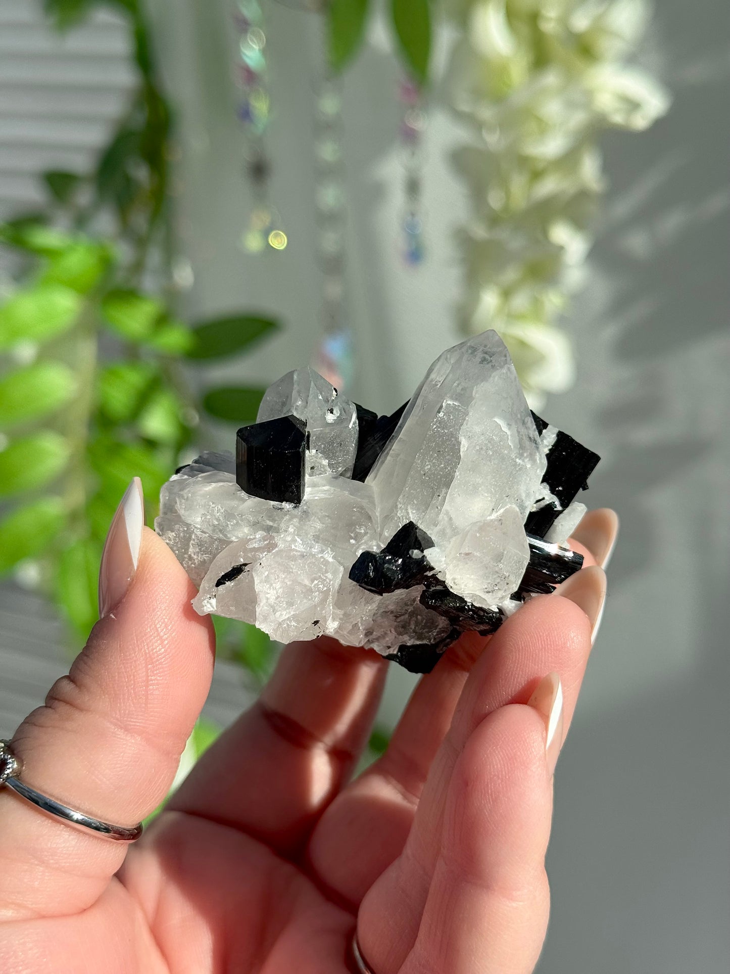 Black Tourmaline in Quartz