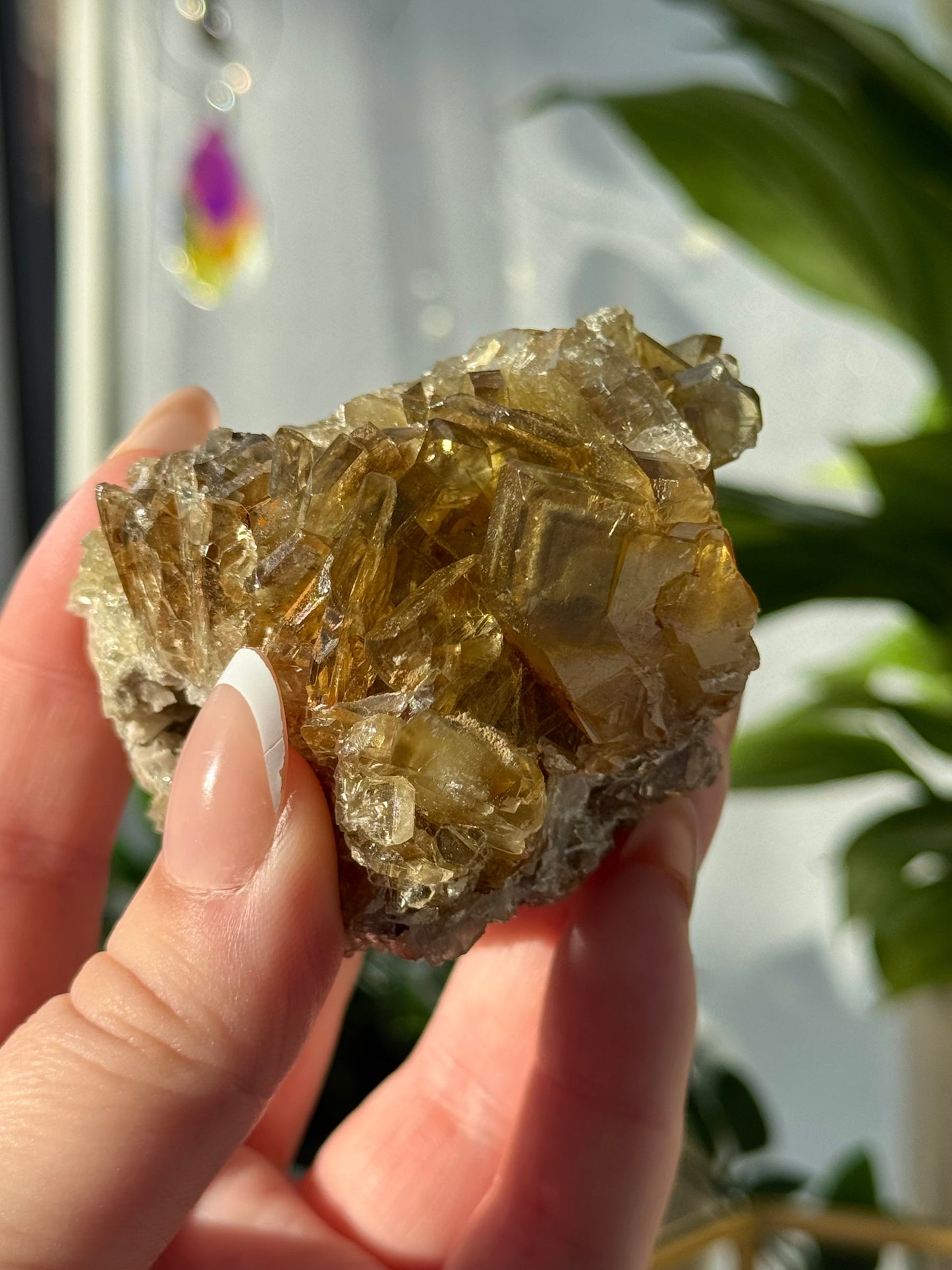 Golden Barite
