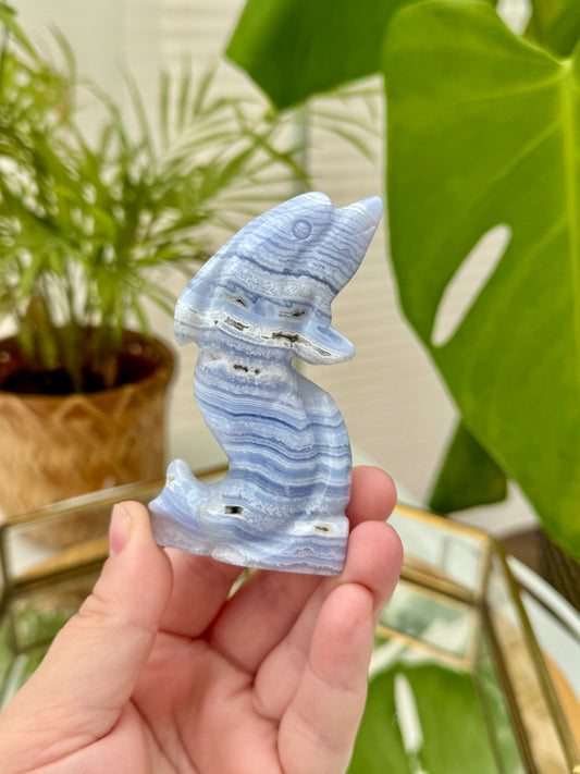 Blue Lace Agate Dolphin
