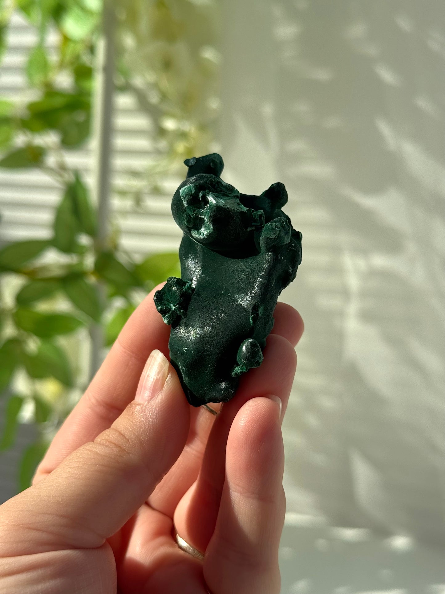 Velvet Malachite