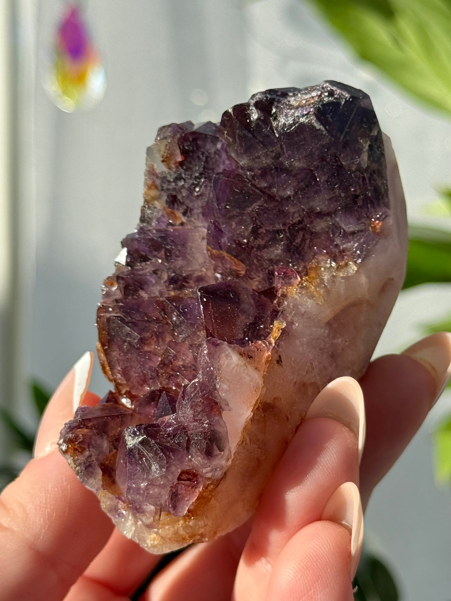Alien Amethyst (Amethyst with Hematite) from India