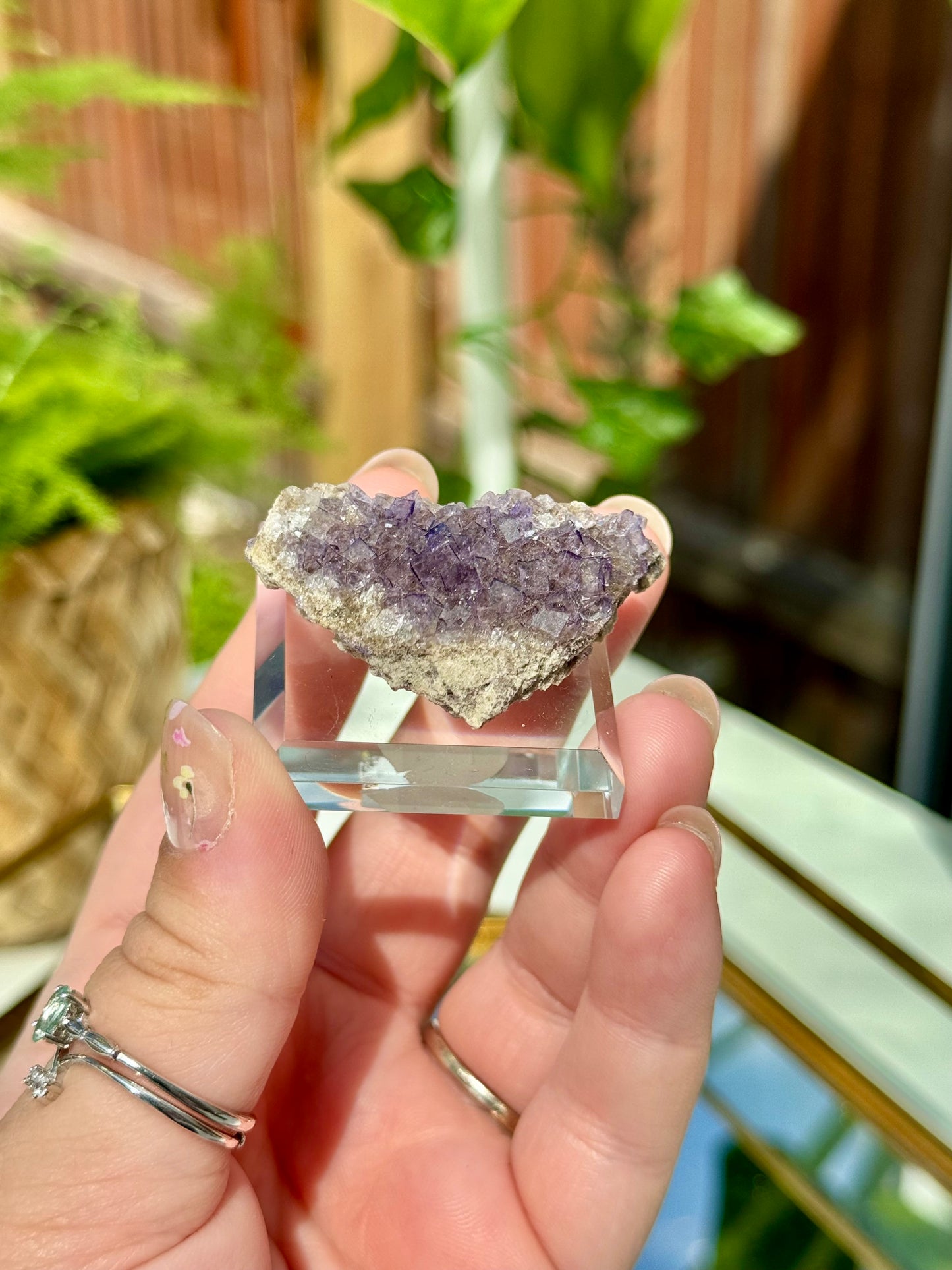 Muzquiz Fluorite from Mexico