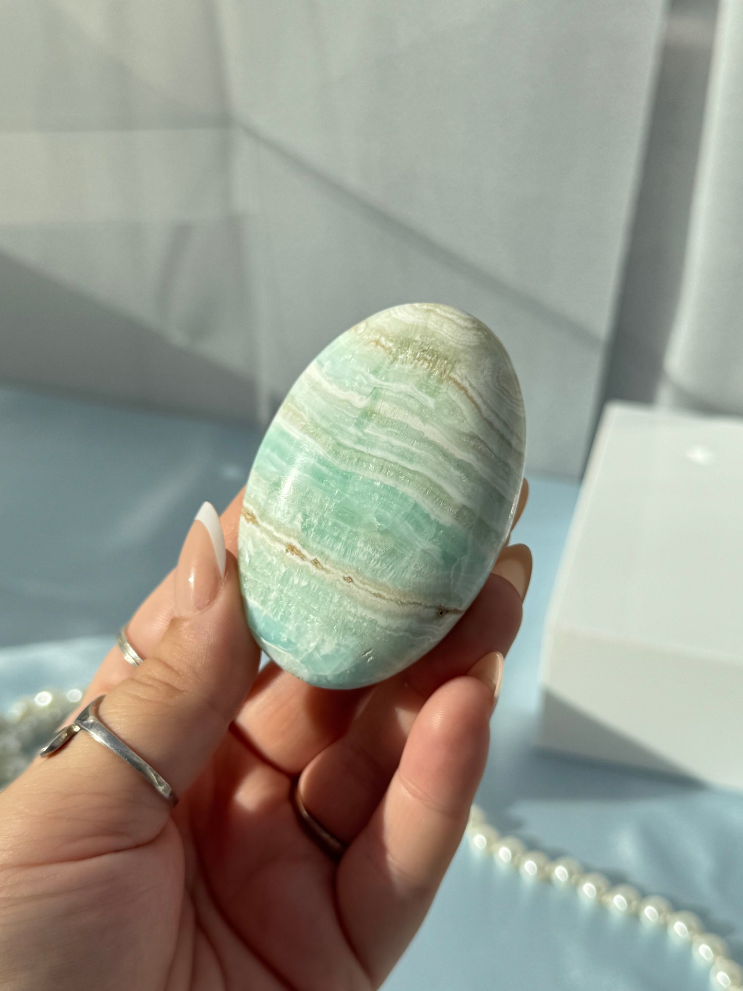 Caribbean Calcite Palm
