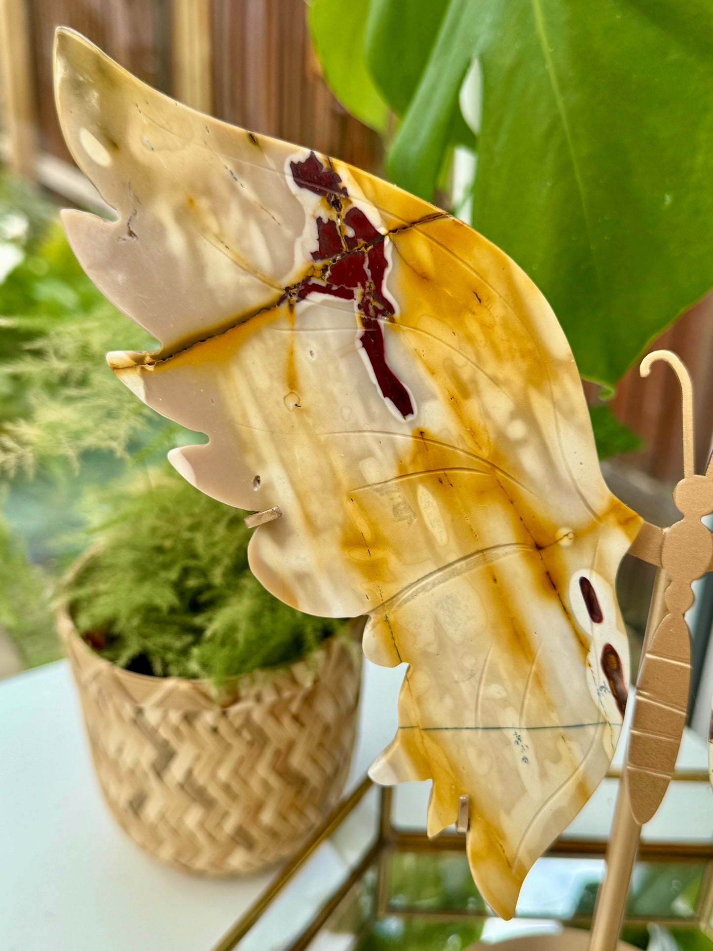 Statement Mookaite Wings