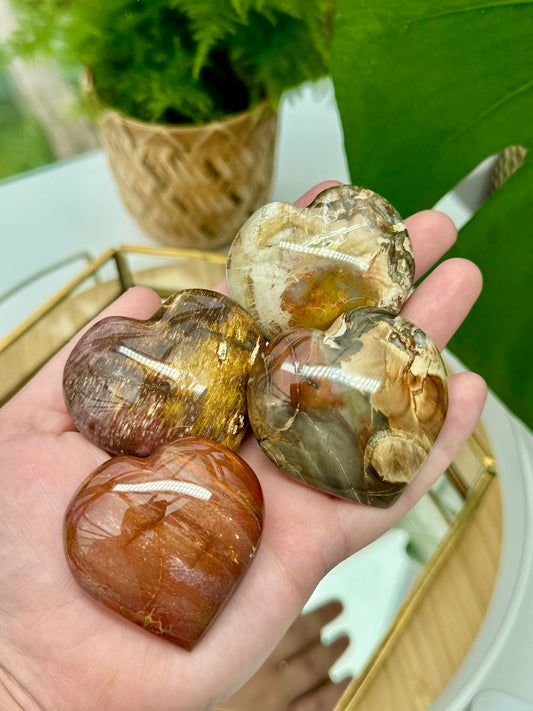 Petrified Wood Hearts