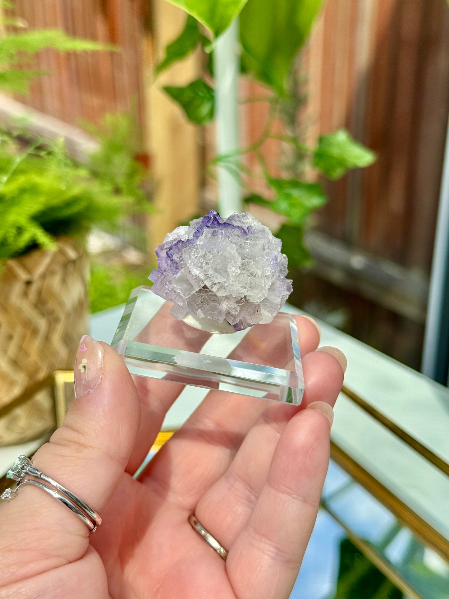 Muzquiz Fluorite from Mexico