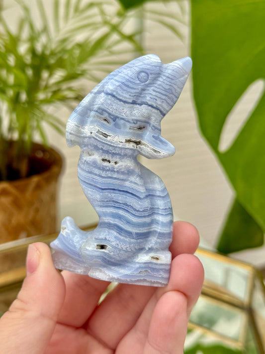 Blue Lace Agate Dolphin