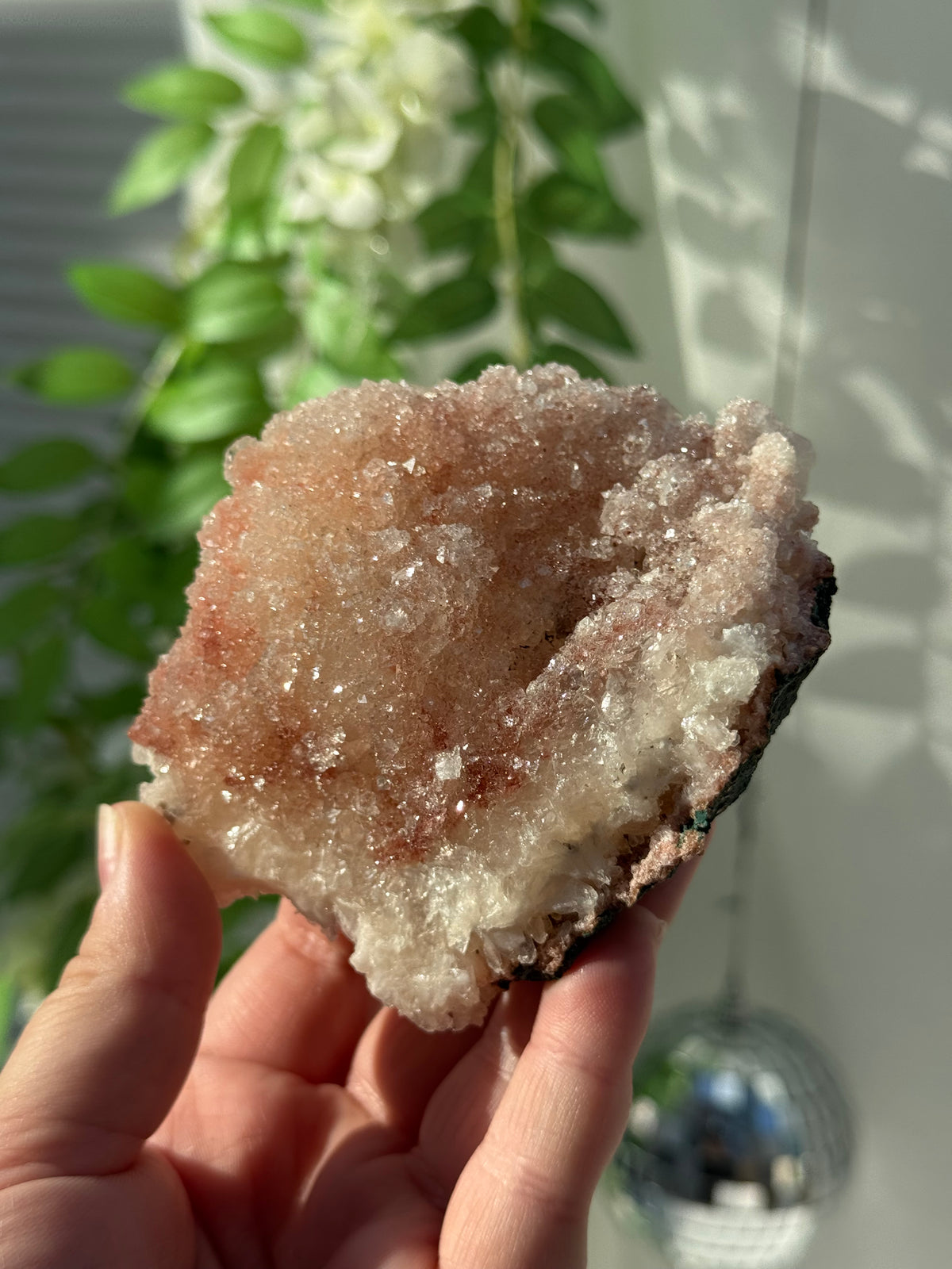 Peachy Pink Apophyllite Specimens from India