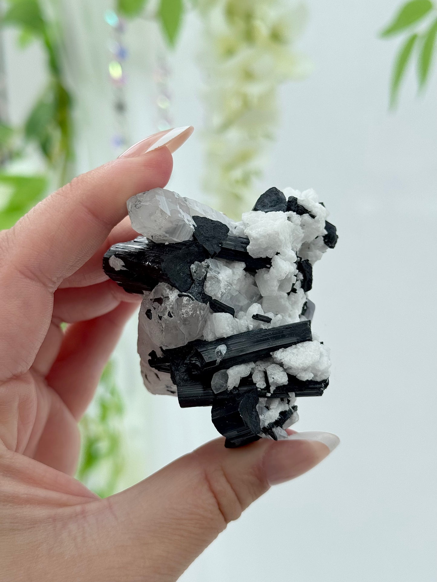 Black Tourmaline in Quartz