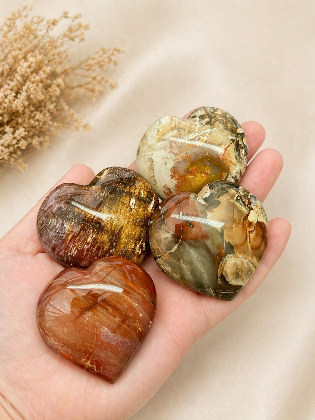 Petrified Wood Hearts