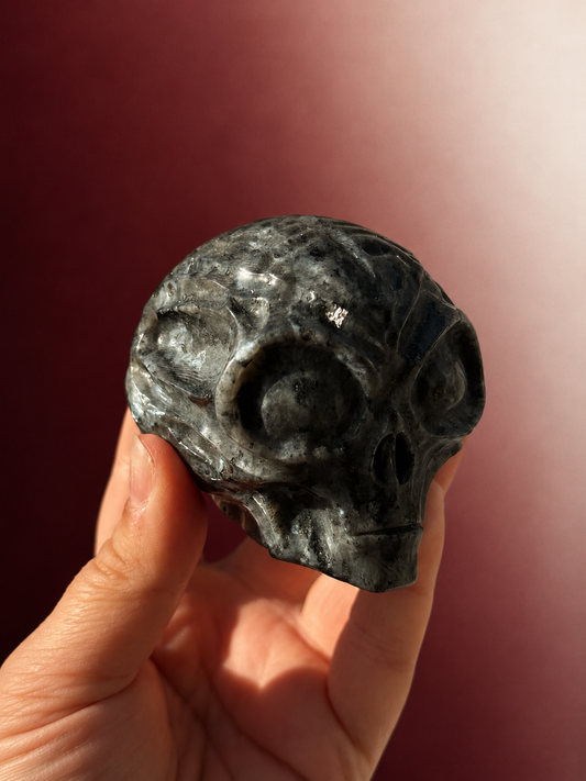 Larvikite Alien Head